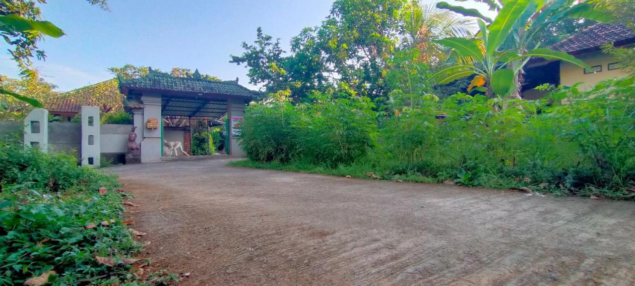 Tunjung Guest House Lovina Beach Pabean Buleleng Kültér fotó